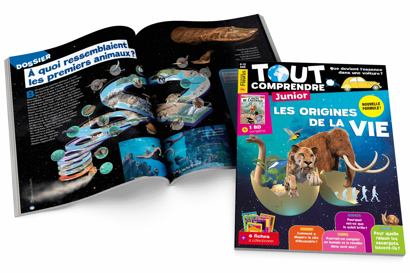 couverture de : Tout comprendre n?49